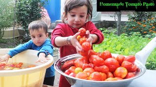 Preparation Of Homemade Tomato Paste From Our Own Grown Tomatoes