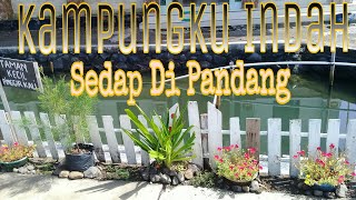 Pemanfaatan lahan disekitar rumah#taman kecil#budidaya ikan