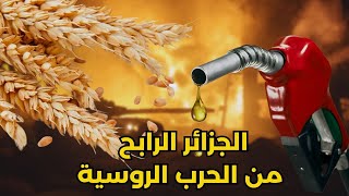 الجزائر والحرب الروسية الأوكرانية   مكاسب طاقوية و مخاوف غذائية