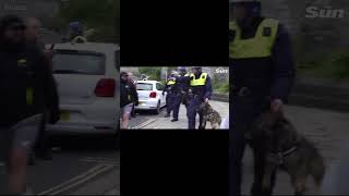 POLICE DOGS IN ACTION IN PLYMOUTH