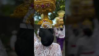 Mepeed - one of the most iconic ceremonies in Bali 🌺