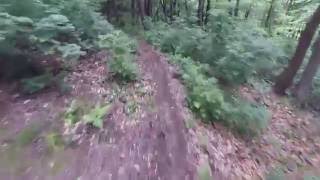 Dotrscina 2016 Downhill "Paul van Dyke - For an Angel"