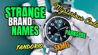 EXPOSING Peculiar Watch Brand Names Like TANDORIO - SKMEI - MYSTERIOUS CODE And Even SEIKO