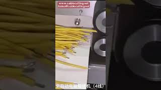 Full electric 6mm2 wire stripper cutter various data cable cutting stripping machine