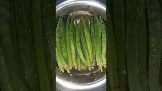 Bhindi fry recipe#village vlog#bhindi recipe#village vlog#bhindi recipe fry