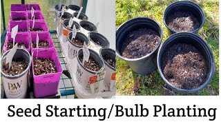 Seed Starting//Bulb Planting 🌿