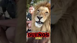 Mascotas que asesinaron o se comieron a sus Dueños | Parte 15