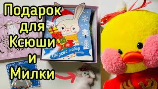 ПОДАРОК для Seniya DIY ( Ксюша и Милка ) на Новый год / Влог День с уточкой Лалафанфан Ми-Милкой