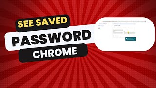 How To See Saved Passwords On Chrome On Mac in 2024