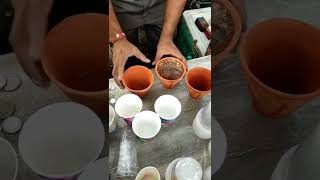 Masala #shikanji (शिकंजी) कुल्हड़ मे #Soda Kolkata street food video