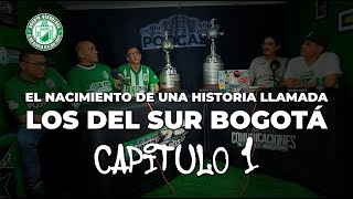 EL NACIMIENTO DE UNA HISTORIA LLAMADA LOS DEL SUR BOGOTÁ - podcast Bogotá Verdolaga - capitulo 1