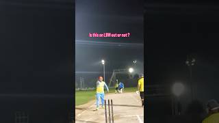 Is this an LBW out or Not ?  #cricket #cricketlover #cricketshorts #cricketlovers #cricketfans #yt