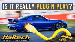 The FD RX-7 gets a Haltech Elite - full installation guide