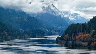 Relax your mind with the beauty of flowing rivers and soothing sound | Peaceful Ambience with Nature