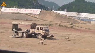 China: The deployment of a unit of robotic dogs, which act in a group.