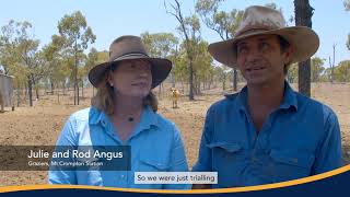 Landholders Driving Change: Normanby Cluster Group address herd nutrition