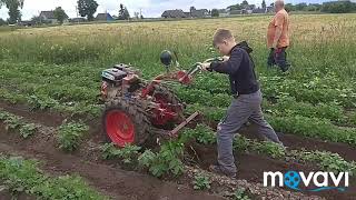 третие окучивание или помошник приехал.