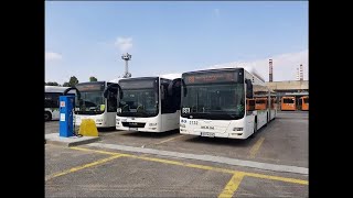 Sofia. Bus line 213. Mladost 4 - Central Station - Mladost 4. August 2024