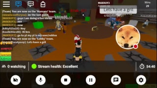 My ROBLOX Stream