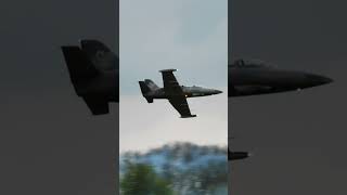 Very Big RC Jet at ProWing 2023