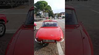 Citroën Axel e Alfa Romeo spider duetto 1 serie osso di seppia.