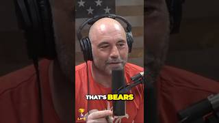 JOE ROGAN and BILL BURR on bears #joerogan #jre #shorts #viral #trending