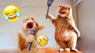 You Laugh You Lose 😻 Funniest Dogs and Cats 2024 🤣🐶