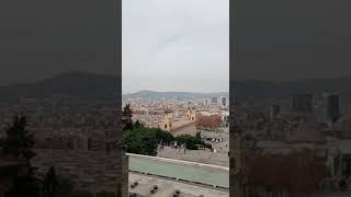 Stunning view in Barcelona #shortsvideo #share #shorts #shortvideo #barcelona #spain #follow