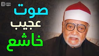 صوته مُريح للقلب ❣️ جمال صوته لا يوصف!! 👌 الشيخ أبو العنين شعيشع | Surat Āl-‘Imrān Quran Recitation