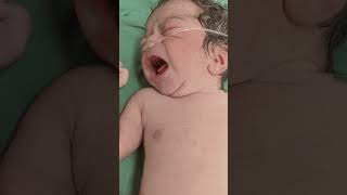 viral short #trendingshorts new born#cute  #baby