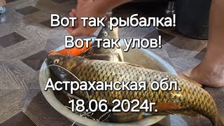 Вот так РЫБАЛКА! Вот так УЛОВ! Рыбалка в Астраханской обл.18.06.2024г.