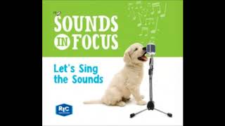 Sounds in Focus