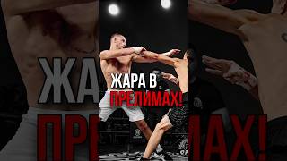 💥БЕСПОЩАДНЫЕ ПРЕЛИМЫ! Дмитрий «Тайсон» Баранов VS Каро «Драго» Арутюнян #GFC #кулачка #бой #rcc