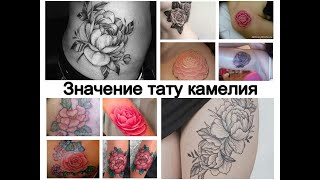 Значение тату камелия - смысл рисунка и фото примеры для сайта tattoo-photo.ru