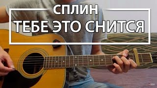 Как играть "Тебе это снится" - Сплин (Разбордля гитары, Аккорды, Табы, видеоурок Сплин)