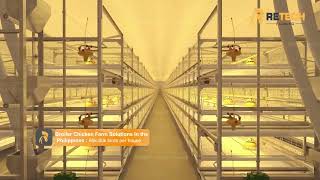 60K-80K birds commercial broiler chicken farm business in the Philippines - RETECH Farming