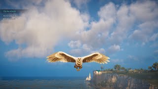 Bird Spin in Valhalla - Find Out Why It's EPIC!