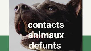 contacts animaux défunts