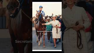 The greatest race horse to ever live died 34 years ago #edit #horse #secretariat #bigred #legend