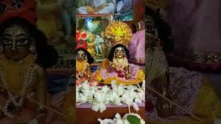 Laddu Gopal ❤❤❤ #laddugopalstatus #viral #harekrishna