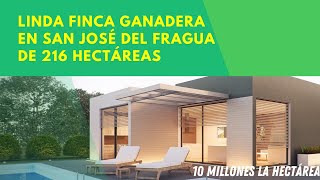 FINCA GABNADERA A 10 KM DE SAN JOSÉ DEL FRAGUA