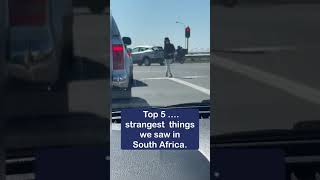 Top 5 strangest things we saw in South Africa.