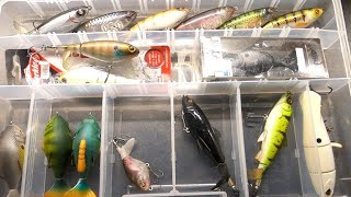 All the Different Types of Whopper plopper and Prop fish Review!