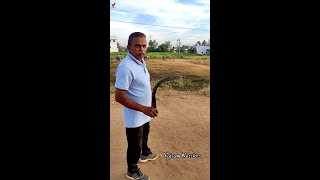 Master Kamaraj Demonstrating How to Release and Catch the Valari in a Proper Manner Way