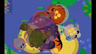 Your typical mope io chaos