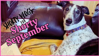 Shorty Vlogs 4 Shorty Sept: It's comin down on me/ I'm ready rain on me