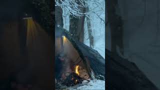 #bushcraft #camping #survival #bushcrafting #skills #lifehacks