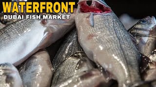 DUBAI FISH MARKET 2019