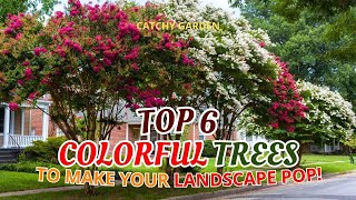 😲 TOP 6 COLORFUL TREES TO MAKE YOUR LANDSCAPE POP! 🌳🌸🍂 // Gardening Ideas