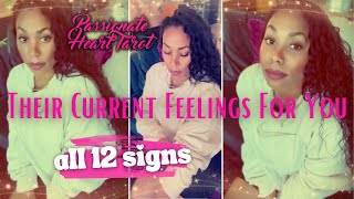 ✨💖 Their Current Feelings For You! ✧ All 12 Signs - Time Stamped 💖✨